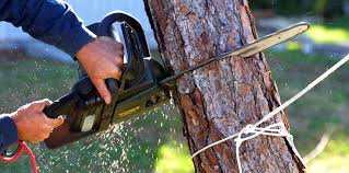 Best Soil Testing and Treatment  in New Castle Northwest, PA